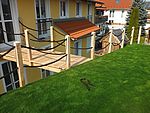 Holzbrücke Seitenansicht